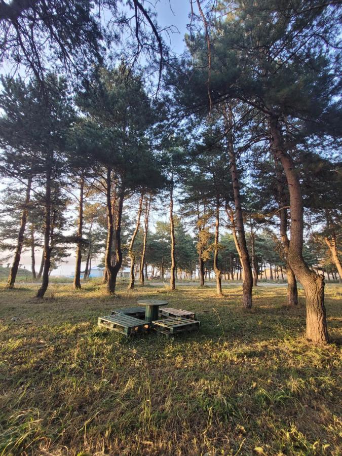 Tsalka Otel Dış mekan fotoğraf