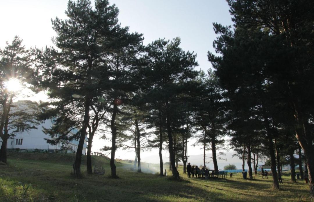 Tsalka Otel Dış mekan fotoğraf